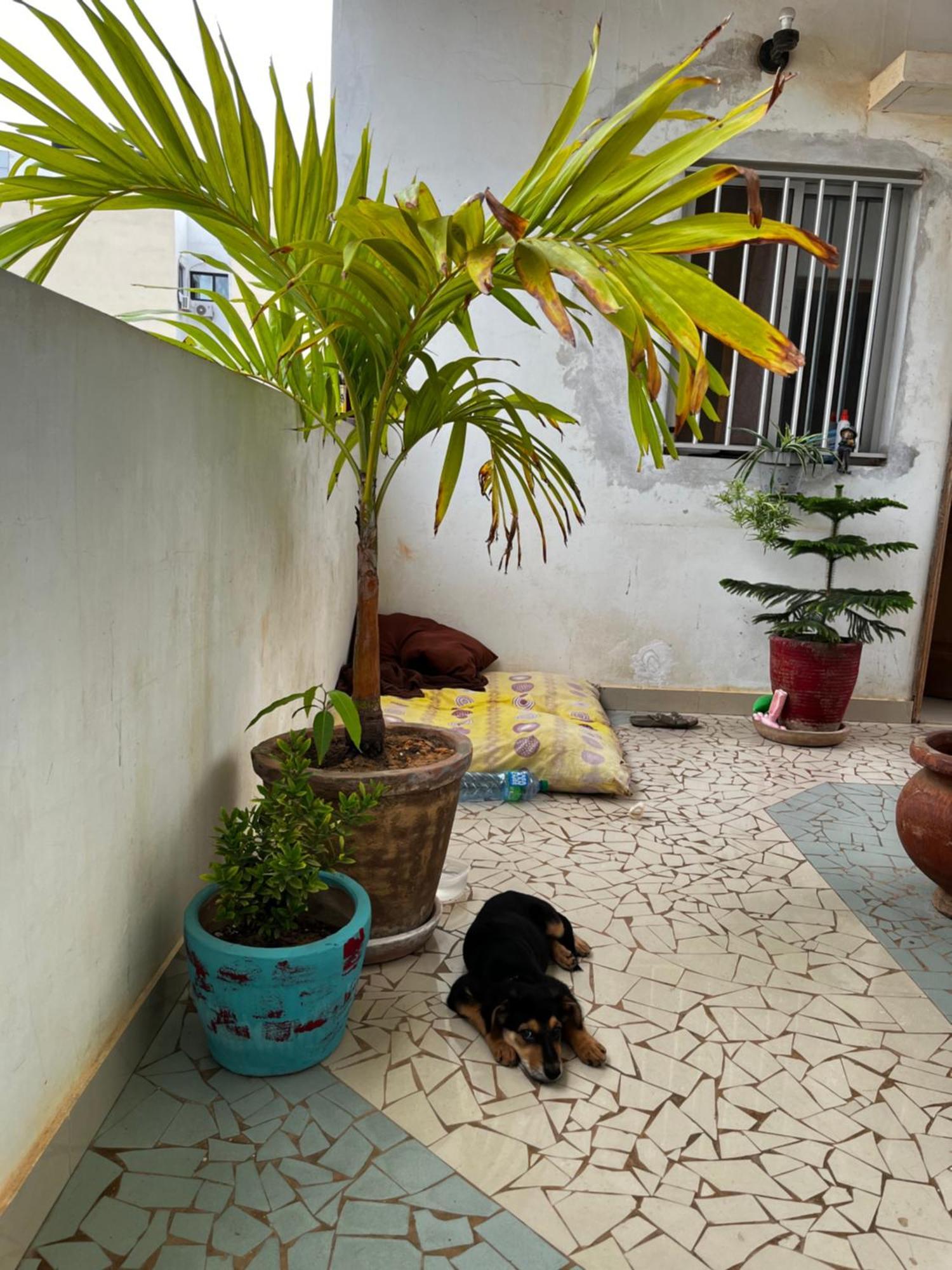 Like At Home Dakar Kültér fotó